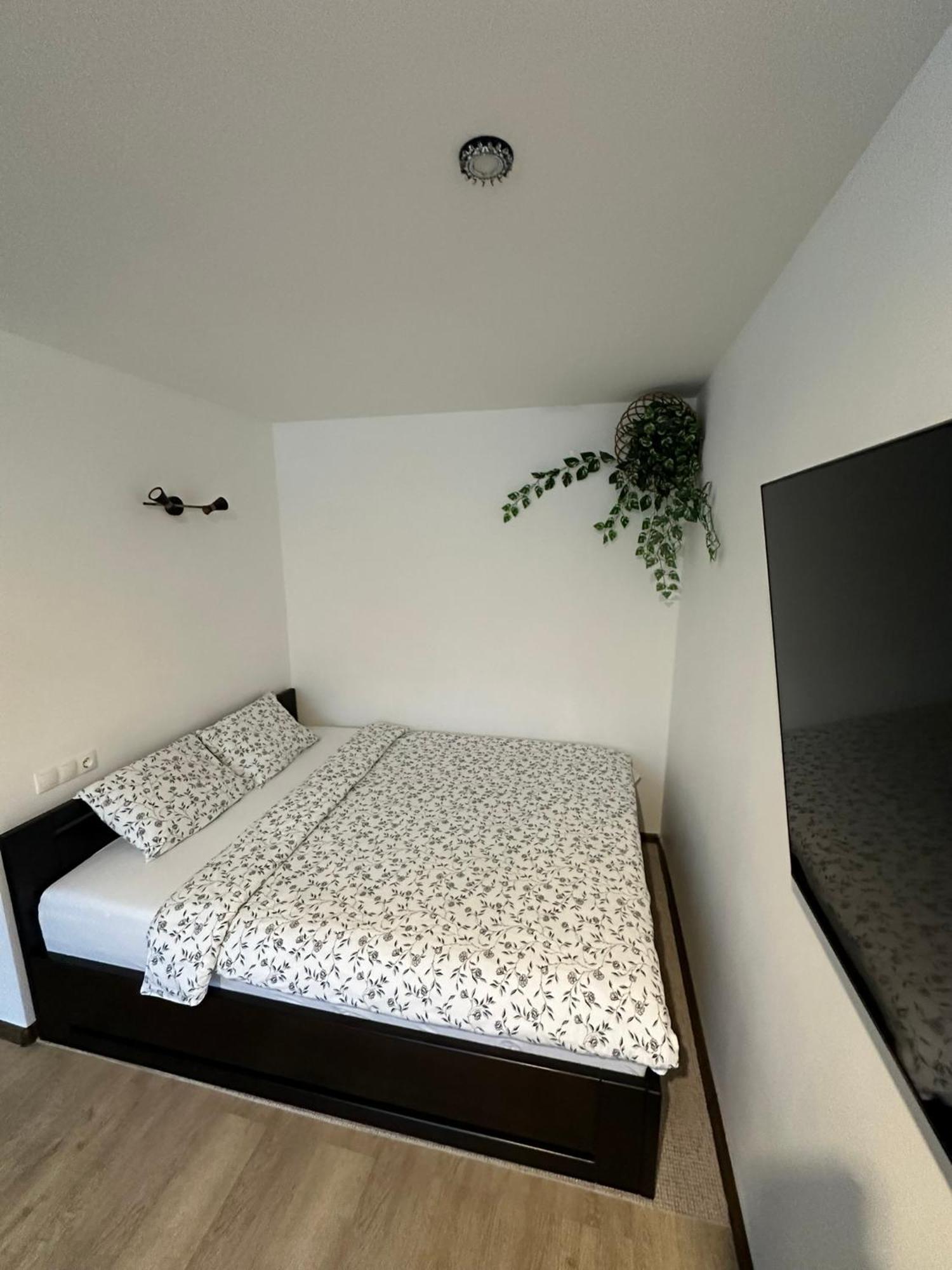 Studio Apartment 발미에라 외부 사진